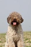 LAGOTTO 128